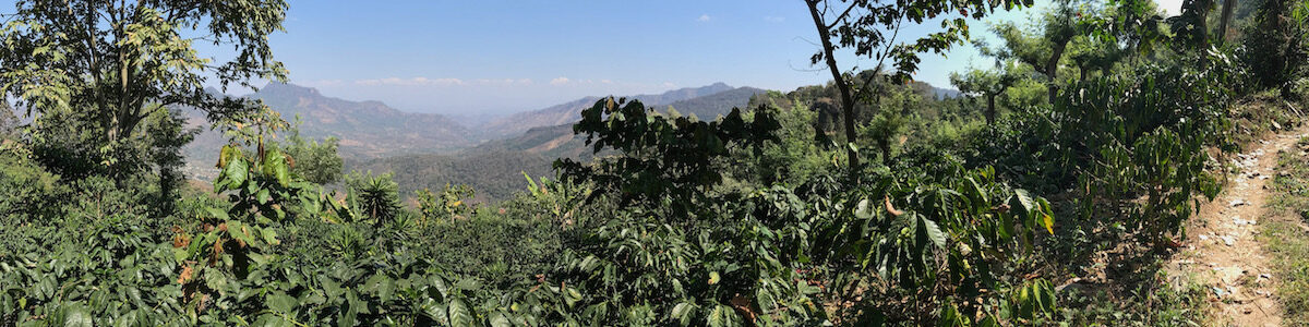 Panorama im Kaffee Ursprung, ein wichtiger Ort für mehr Nachhaltigkeit im Kaffee