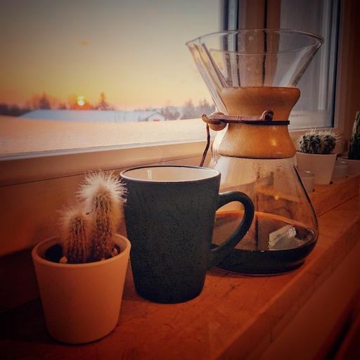 Das Titelbild für die einfach besseren kaffee machen online Beratung. Auf einem Fensterbrett steht ein Kaktus, eine schwarze Tasse und eine Chemex. Das Fenster ist leicht beschlagen und draußen geht die Sonne auf.