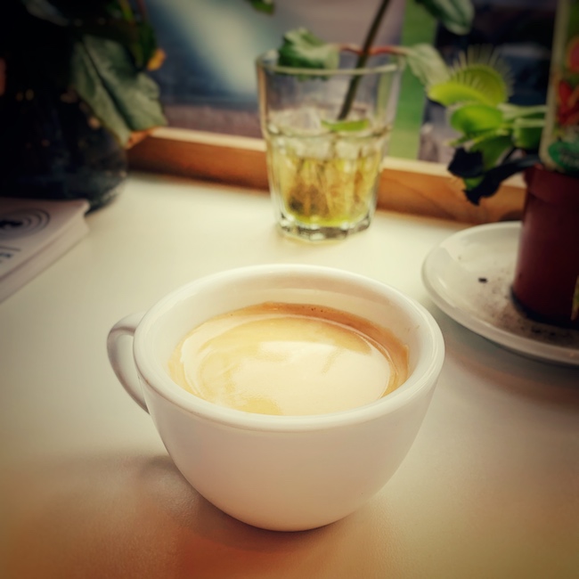 Ein Cafe Creme in einer weißen Kaffeetasse auf einem weißen Tisch mit Blumendeko. Im Hintergrund kann man erahnen, dass dieser Tisch am Fenster steht.