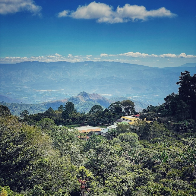 Ausblick vom Balkon auf Kaffeefarm La Bella in Guatemala, mit Agro Forst im Vordergrund und Tal mit Bergekette und Vulkan in der Ferne
