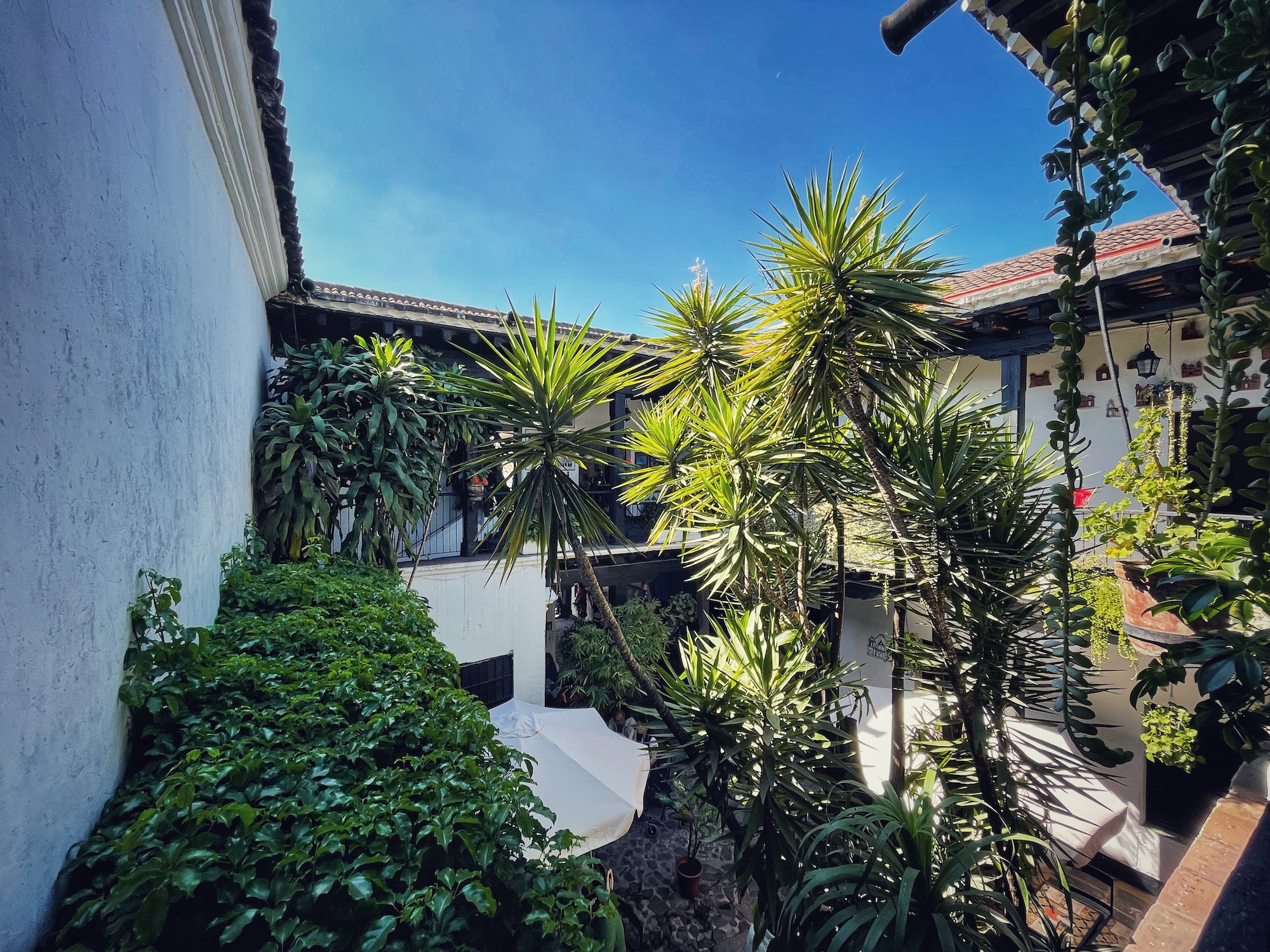 Ein kolonialer Innenhof mit vielen tropischen Pflanzen in Antigua Guatemala