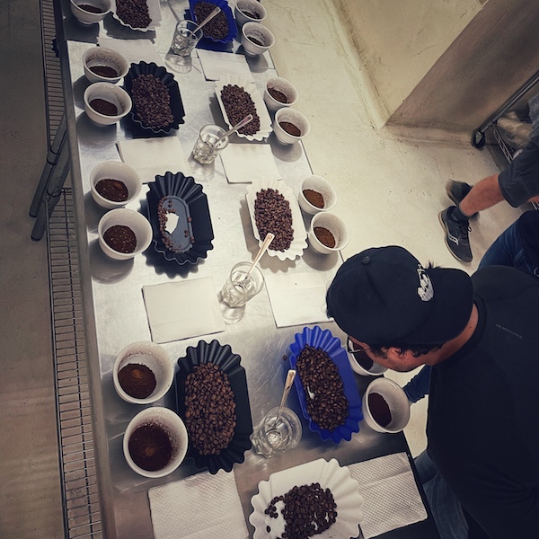 Kaffeeverkostung im Labor der Kaffeefarm in Guatemala. Der Kaffeeproduzent riecht am frisch gemahlenen Kaffee.