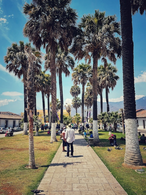 Ein Platz mit hohen Palmen in der Kolonialstadt Antigua Guatemala, einem Weltkulturerbe.